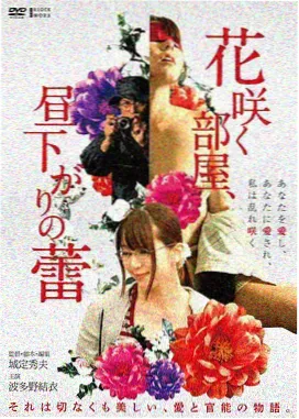 影视飓风 电影推荐